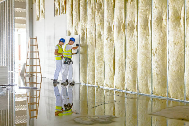 Best Specialized Insulation Services in Springfield, SD